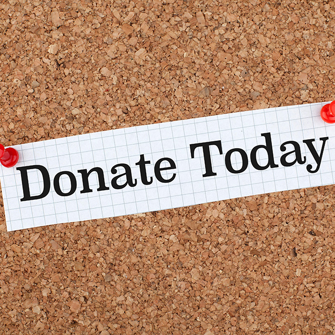 Support CelloBello: Donate Today